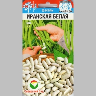 Фасоль Иранская белая