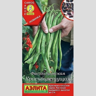 Фасоль Красноцветущая лимская