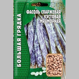 Фасоль Мраморная спаржевая кустовая (большой пакет)