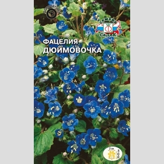 Фацелия Дюймовочка