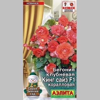 Бегония Кинг Сайз F1 Коралловая (клубневая)