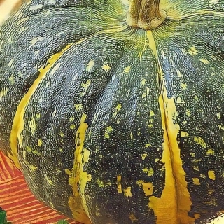 Тыква Сладкая Фея