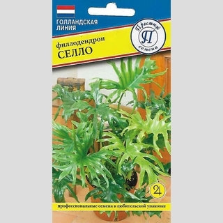 Филодендрон Селло