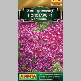 Флокс Попстарс F1 Малиновый