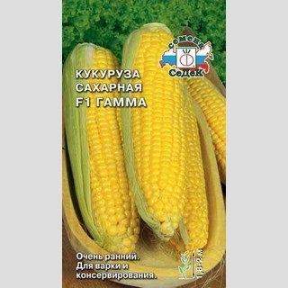 Кукуруза Гамма F1