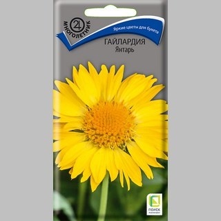 Гайлардия Янтарь