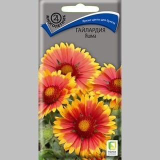 Гайлардия Яшма