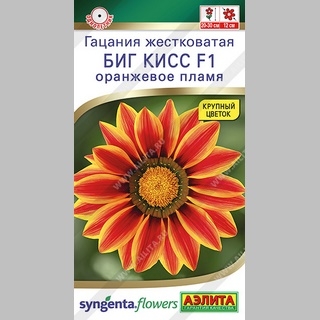 Газания (гацания) Биг кисс F1 оранжевое пламя