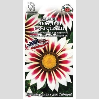 Газания (гацания) Нью Дей Роуз страйп F1