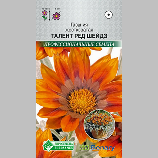 Газания Талент Ред Шейдз (гацания)