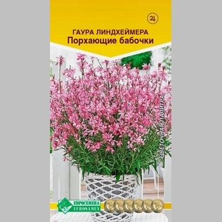 Гаура Порхающие бабочки (Линдхеймера)