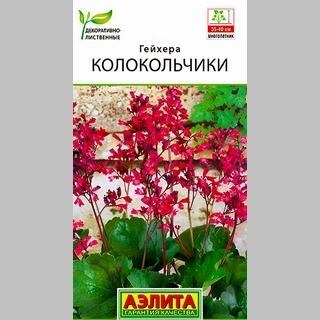 Гейхера Колокольчики