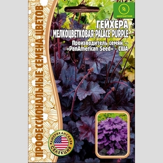 Гейхера Palace Purple мелкоцветковая (большой пакет)