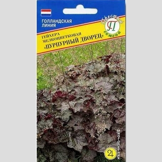 Гейхера Пурпурный дворец мелкоцветковая