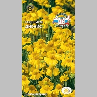 Гелениум Дионис