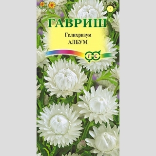 Гелихризум Албум