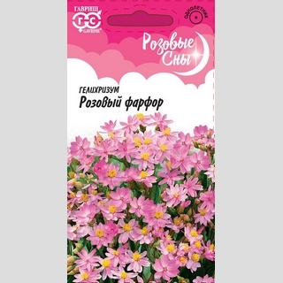 Гелихризум Розовый фарфор