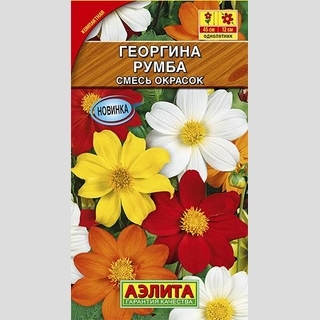 Георгина Румба смесь