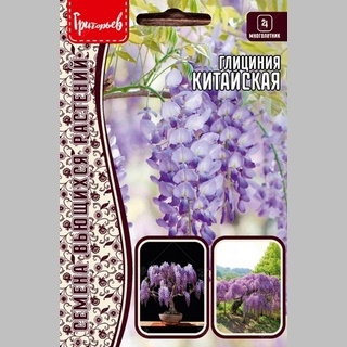 Глициния Китайская (большой пакет)