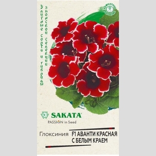 Глоксиния Аванти красная с белым краем F1