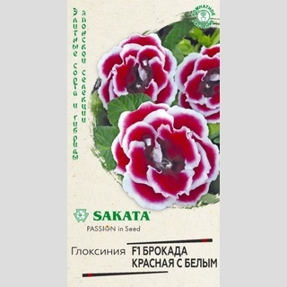 Глоксиния Брокада Красная с белым F1