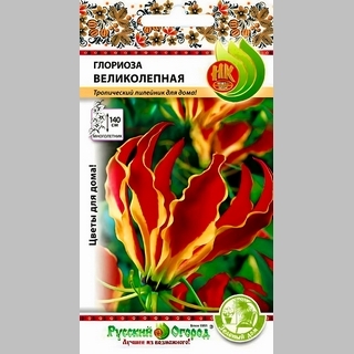 Глориоза Великолепная (Зеленый дом)