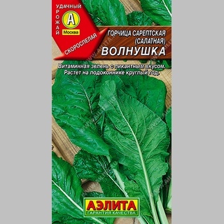 Горчица Волнушка салатная