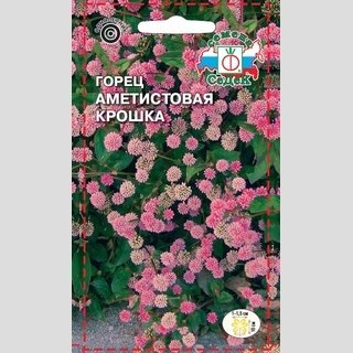 Горец Аметистовая Крошка