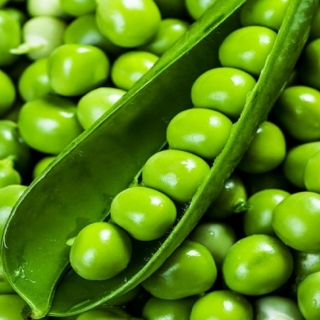 Горох Олинда (большой пакет)