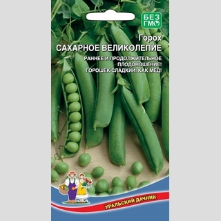 Горох Сахарное великолепие