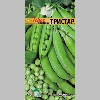Горох Тристар овощной