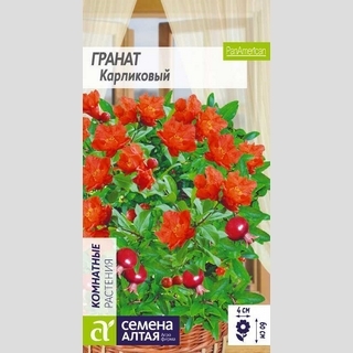 Гранат Карликовый