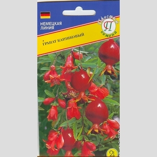 Гранат карликовый