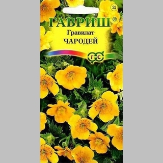 Гравилат Чародей (алеппский)