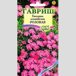 Гвоздика Розовая (альпийская)