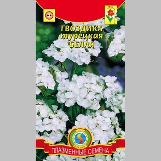 Гвоздика Белая (турецкая)