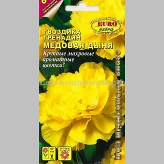 Гвоздика Медовая дыня (Гренадин)