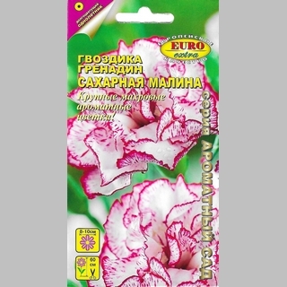Гвоздика Сахарная малина (Гренадин)