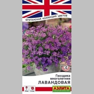 Гвоздика Лавандовая (многолетняя)