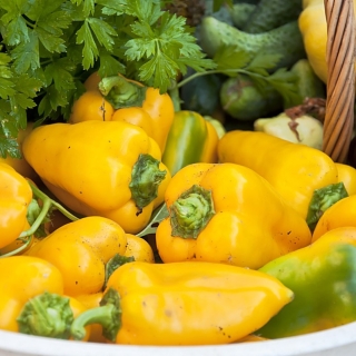 Перец Ханни Йеллоу F1