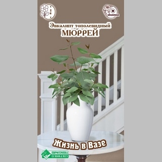 Эвкалипт Мюррей (тополевидный)
