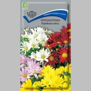 Хризантема Корейская (индийская) смесь
