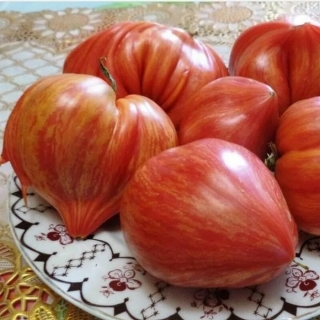 Томат Разбитое Сердце Брэда Гейтса (Crushed Heart) (большой пакет)