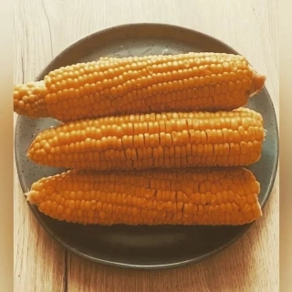 Кукуруза Лопай-Лопай (попкорн)