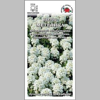 Иберис Метелица