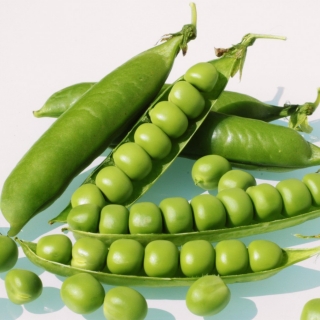 Горох Иловецкий (большой пакет)