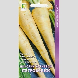 Цикорий Петровский корневой