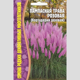 Пампасная трава Розовая (большой пакет)