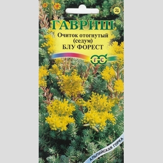 Очиток Блу Форест отогнутый (седум)