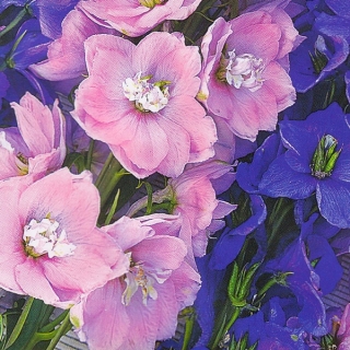 Дельфиниум Царский смесь